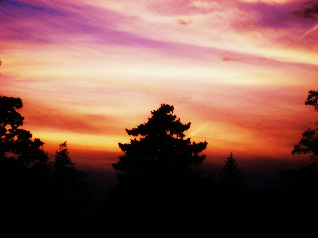 Deerfield Sunset