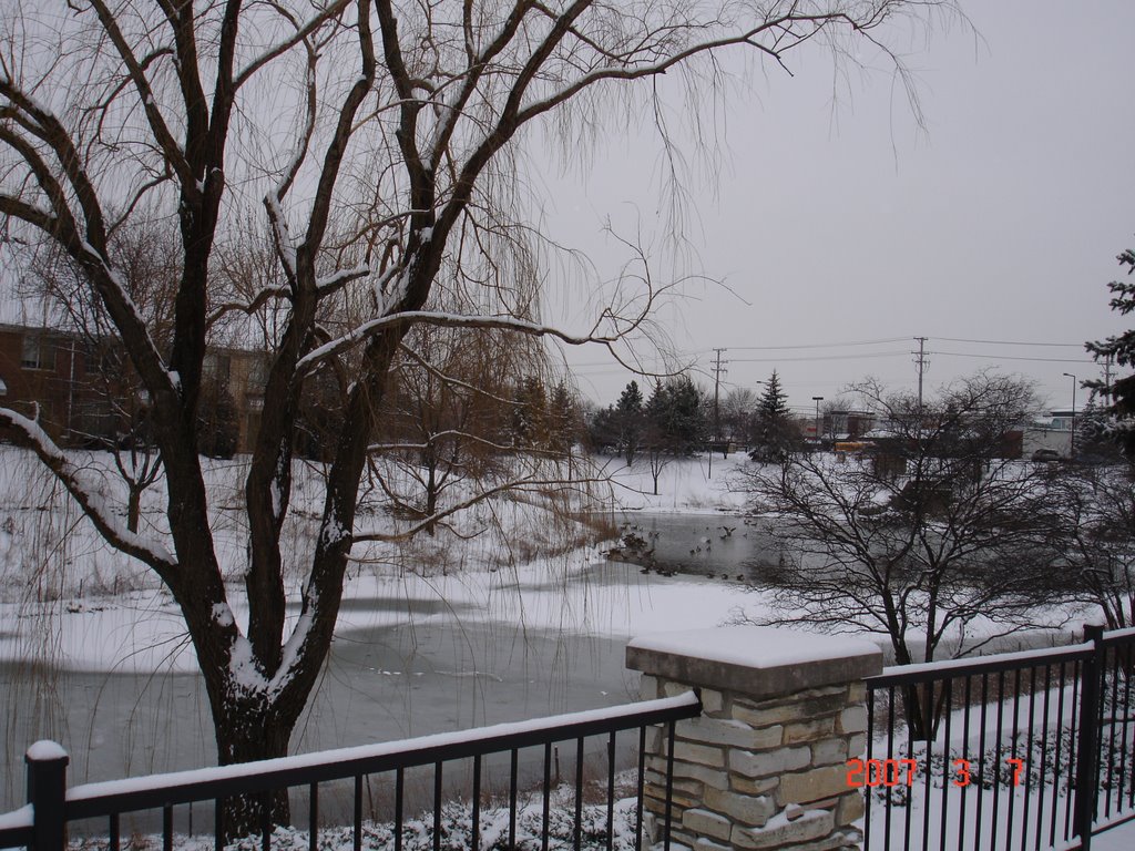 Winter in Wheeling