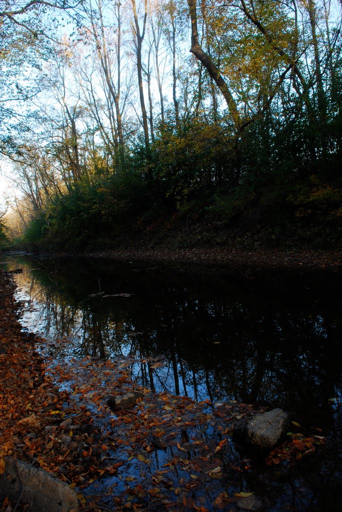 Fall River Reflection