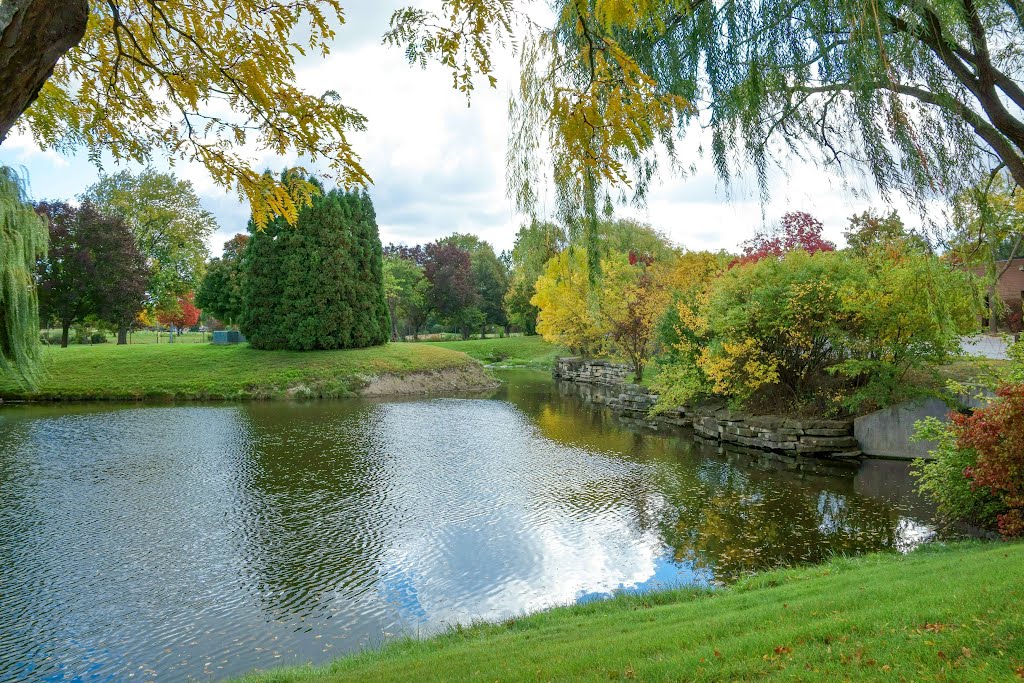 Golf Course Pond