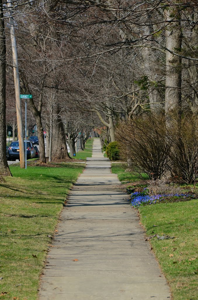 Lake Bluff, IL
