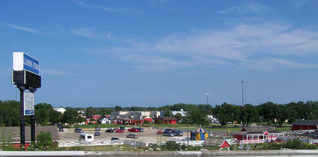 lambs farm liberty ville il