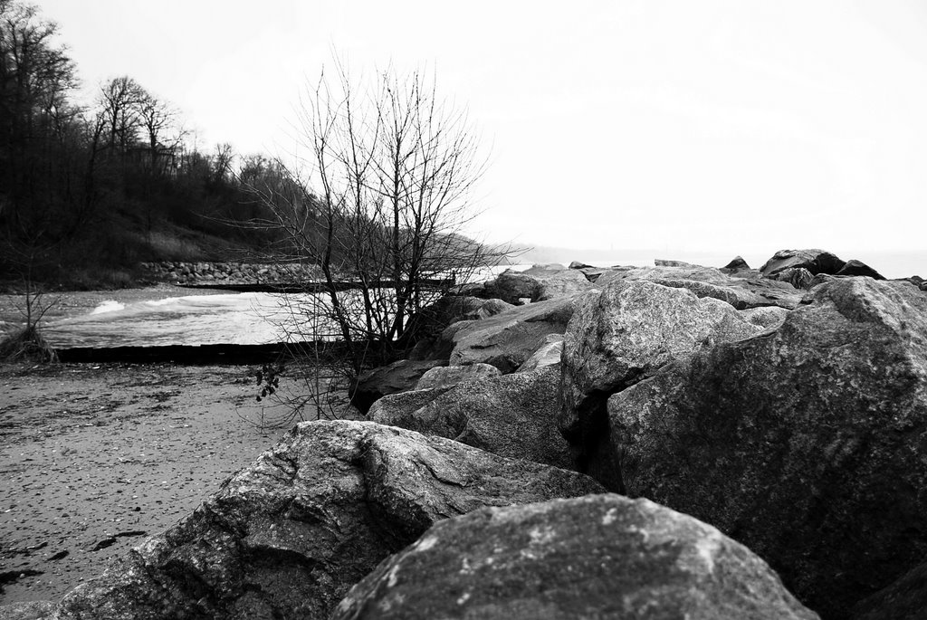 Lake Bluff