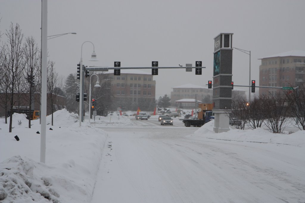 View from Westin North Shore entrance