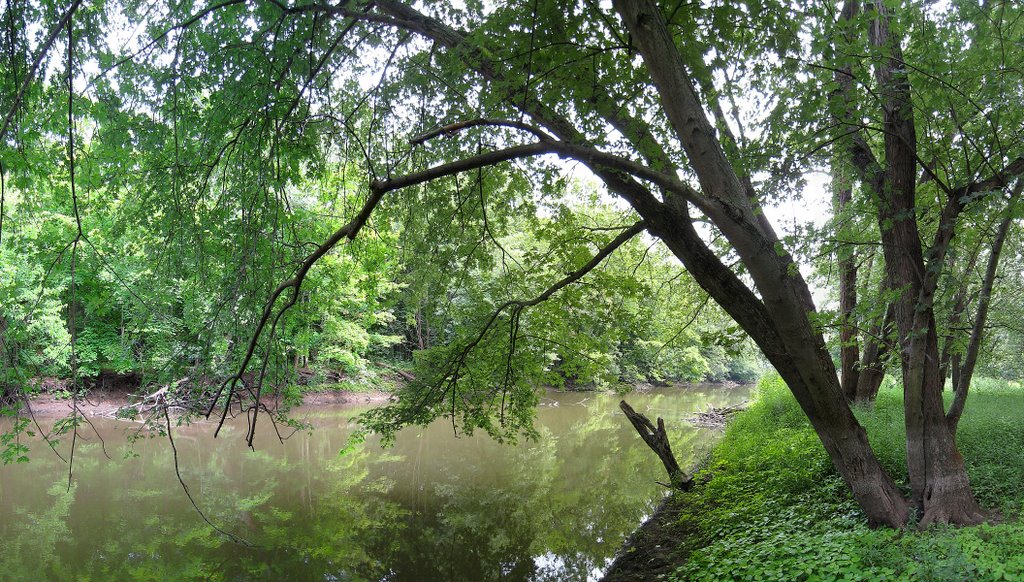 Des Plaines River in Half Day Forest Preserve