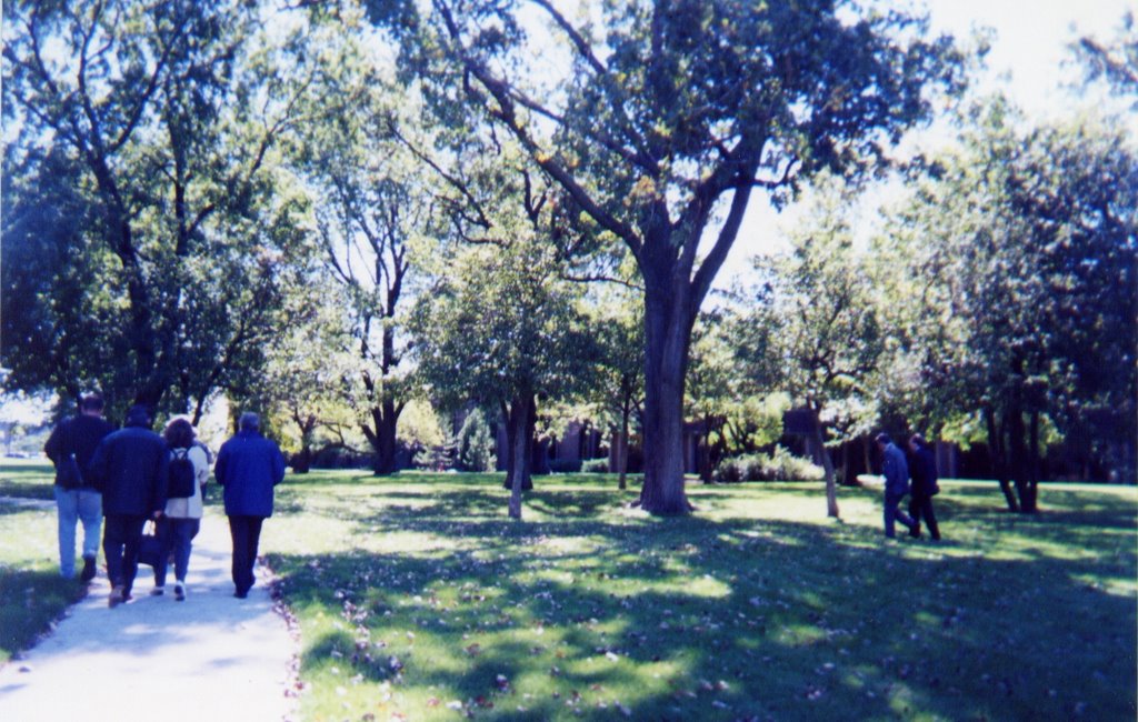 ABBOTT PARK