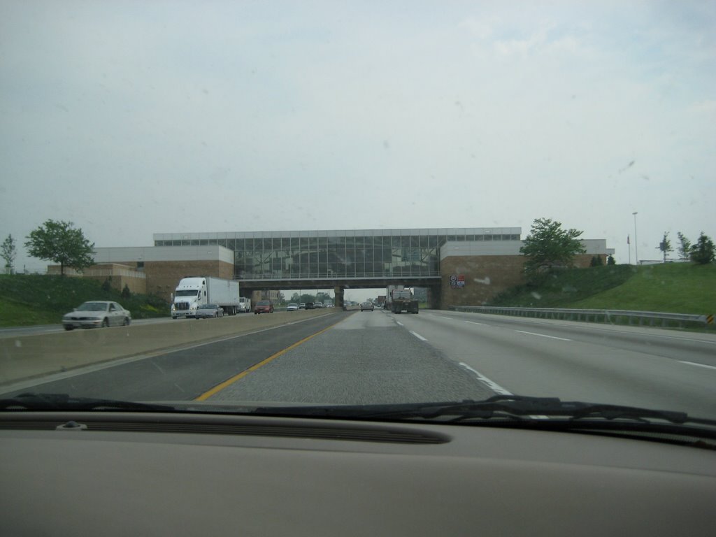 Lake Forest Oasis