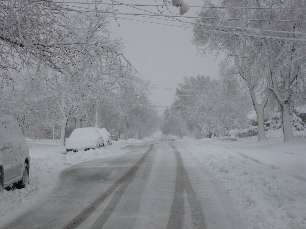 ultima nevada del 2009