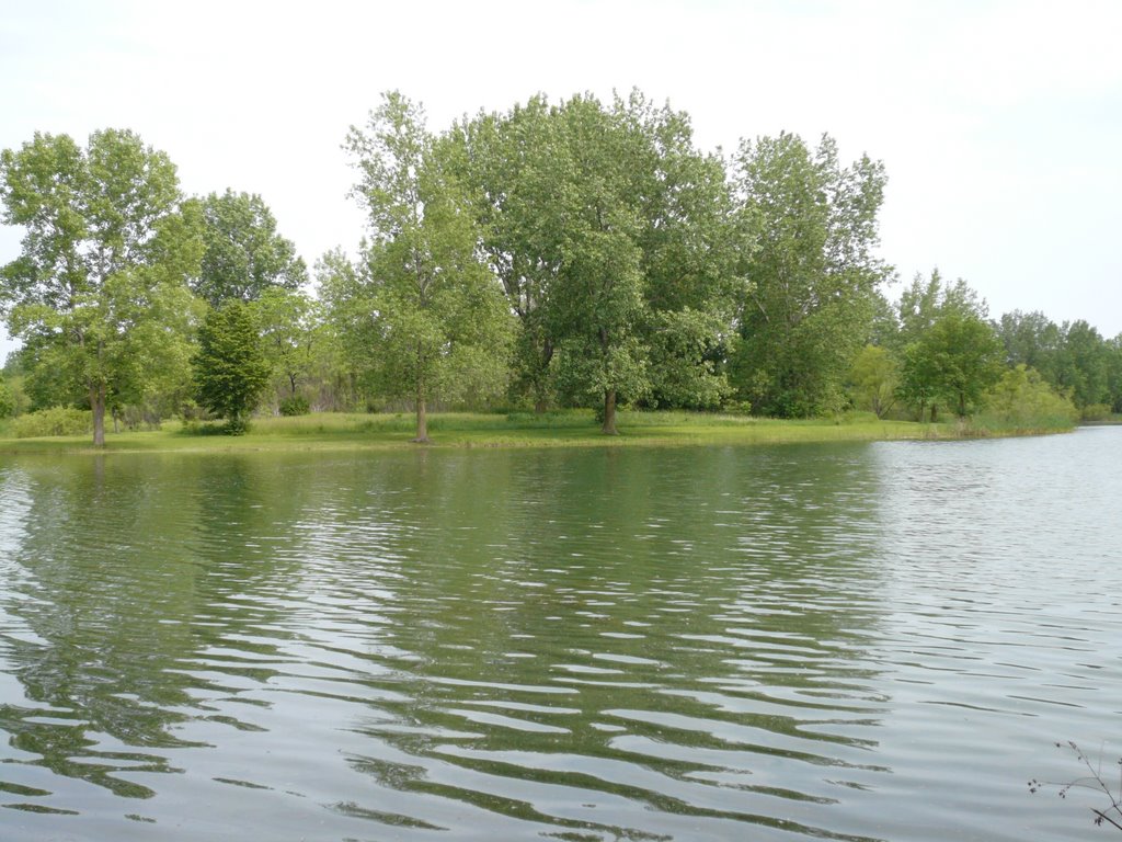 dugdale park