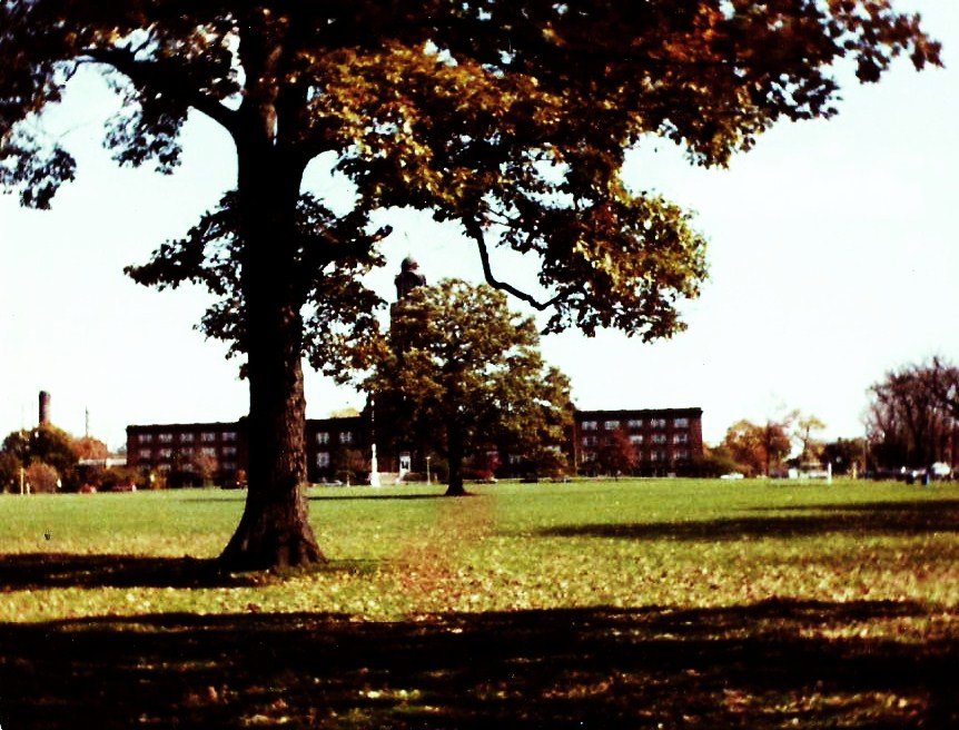 The vivid colors of leaves of this tree in early fall block the view to the Clock Tower at the NTC North Chicago