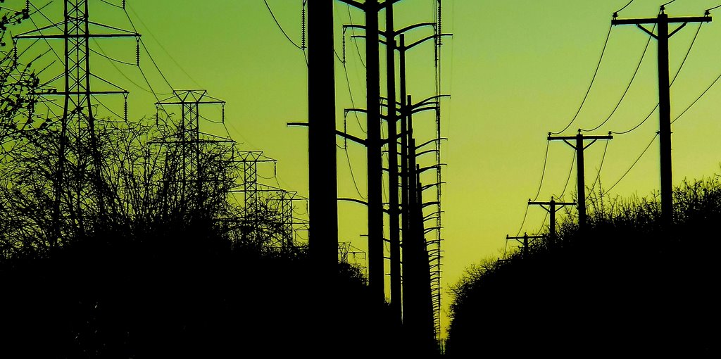 Power Garden In Silhouette