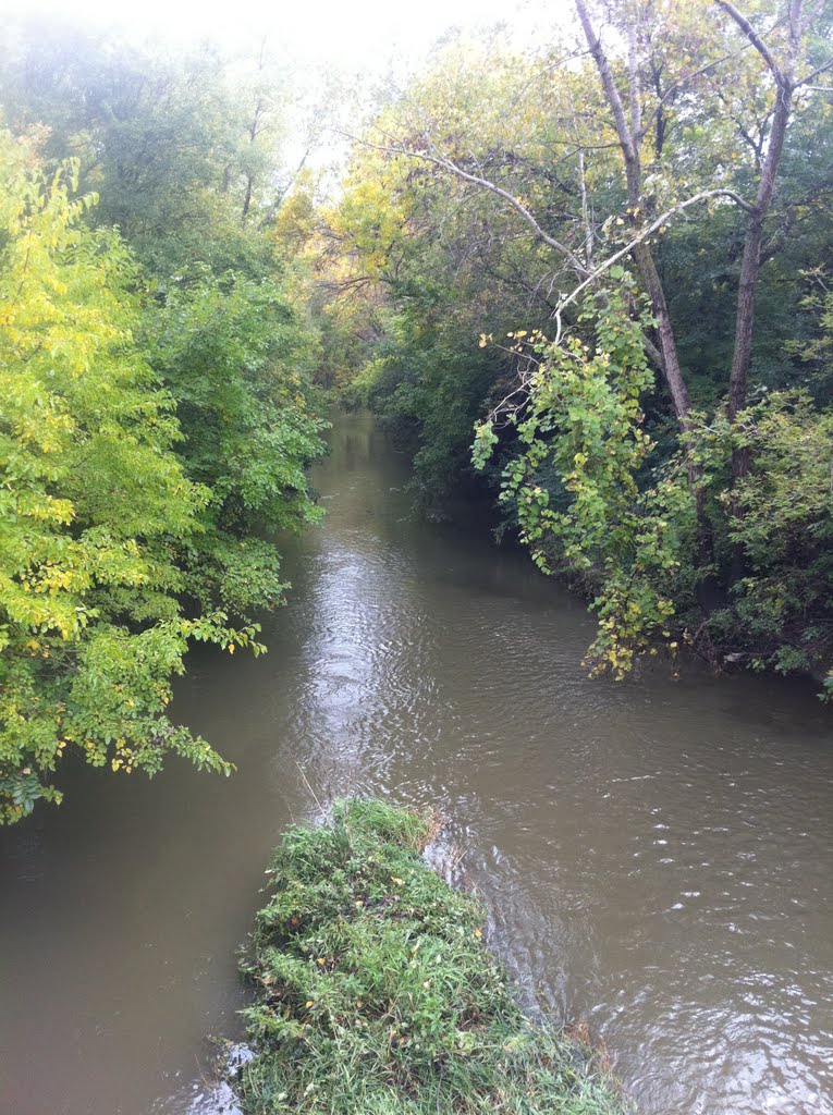Confluence of the Techny Drain and the West Branch that leads into the north end of the Techny Reservoir