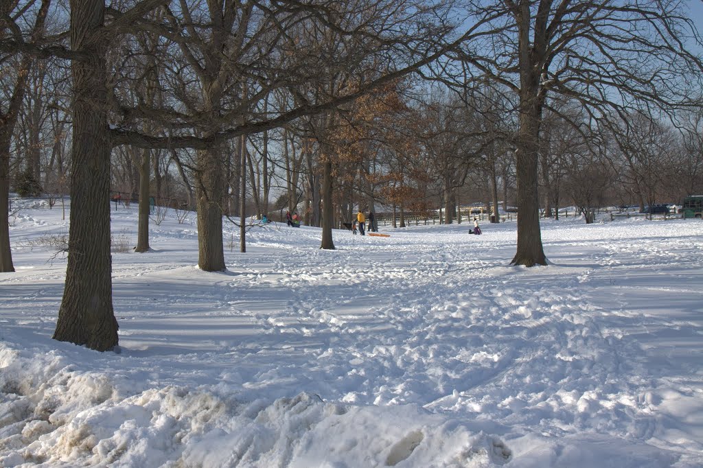 Duke Childs Field - Winnetka,IL