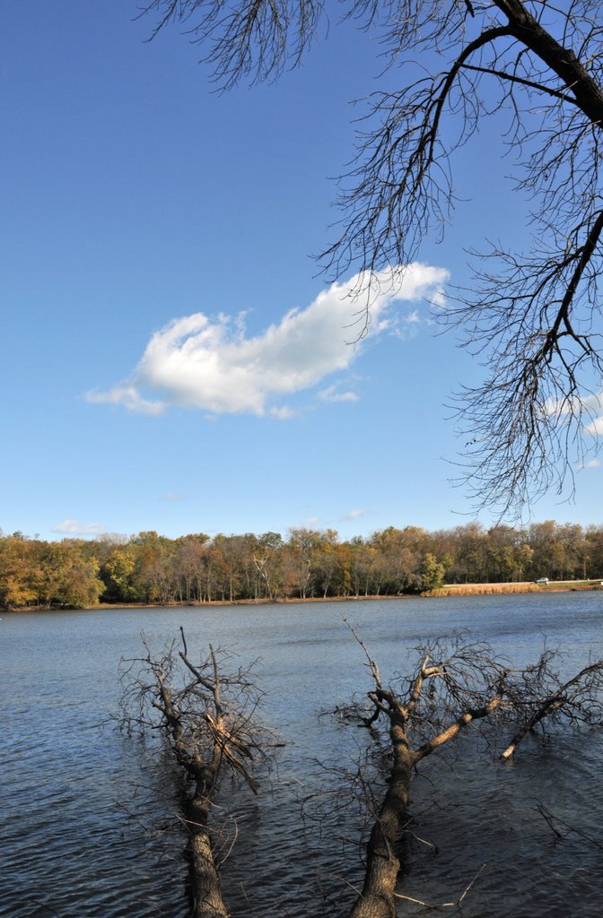 Lake-Blue sky, Bird Cloud