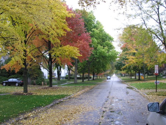 Cherry St - Winnetka-IL-Outono