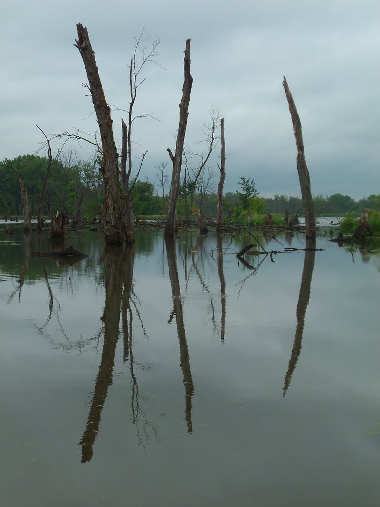 rock creek marsh