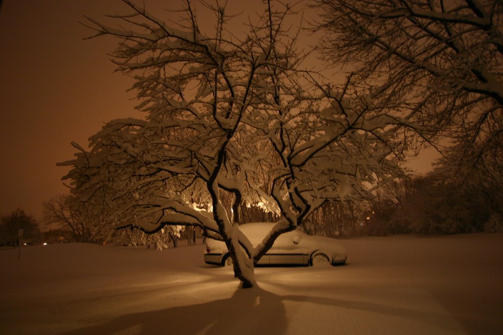 #106 Its blizzard time