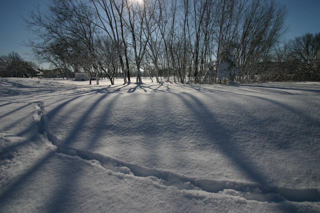 Tracks in the snow