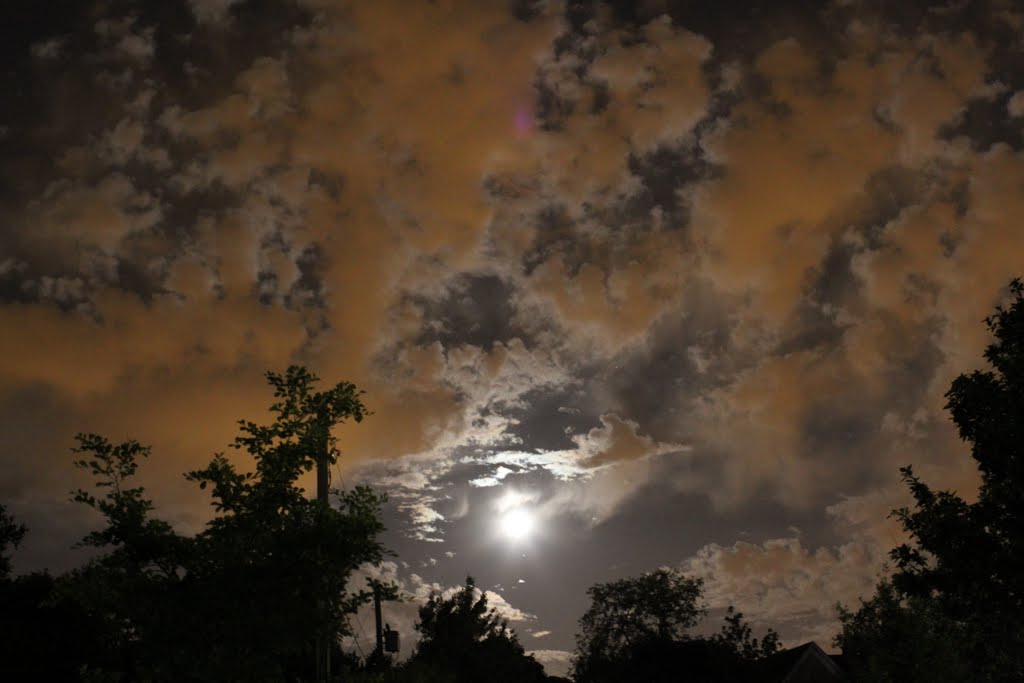 Park Ridge Moonrise