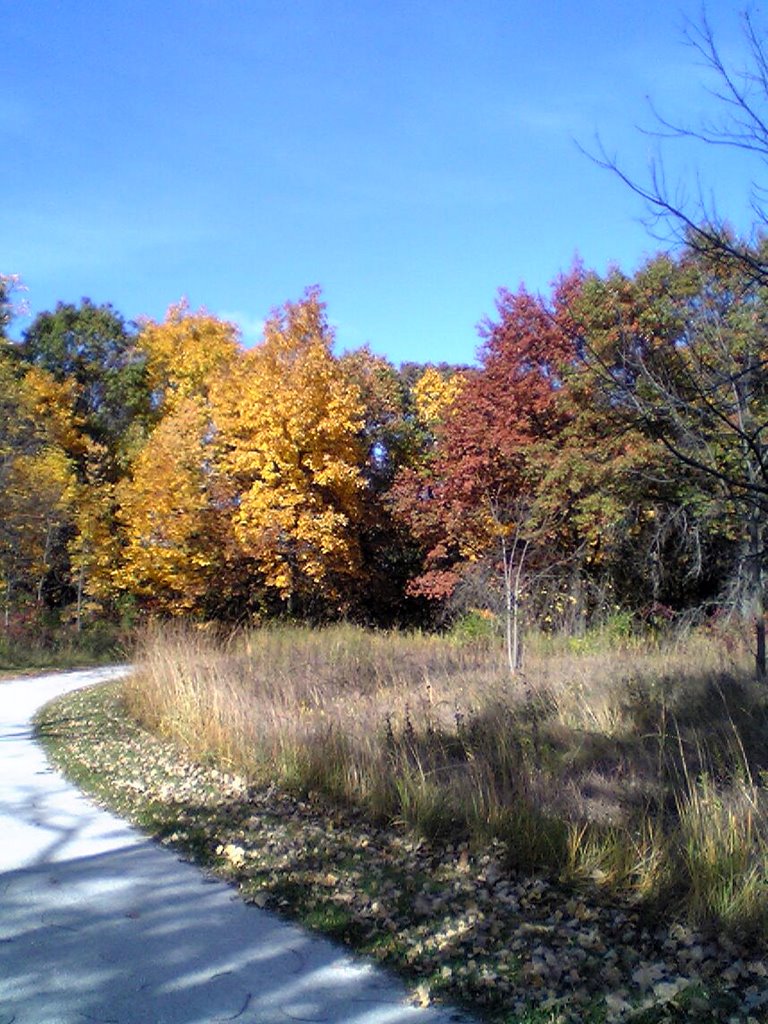 Greenbelt Forest Preserve