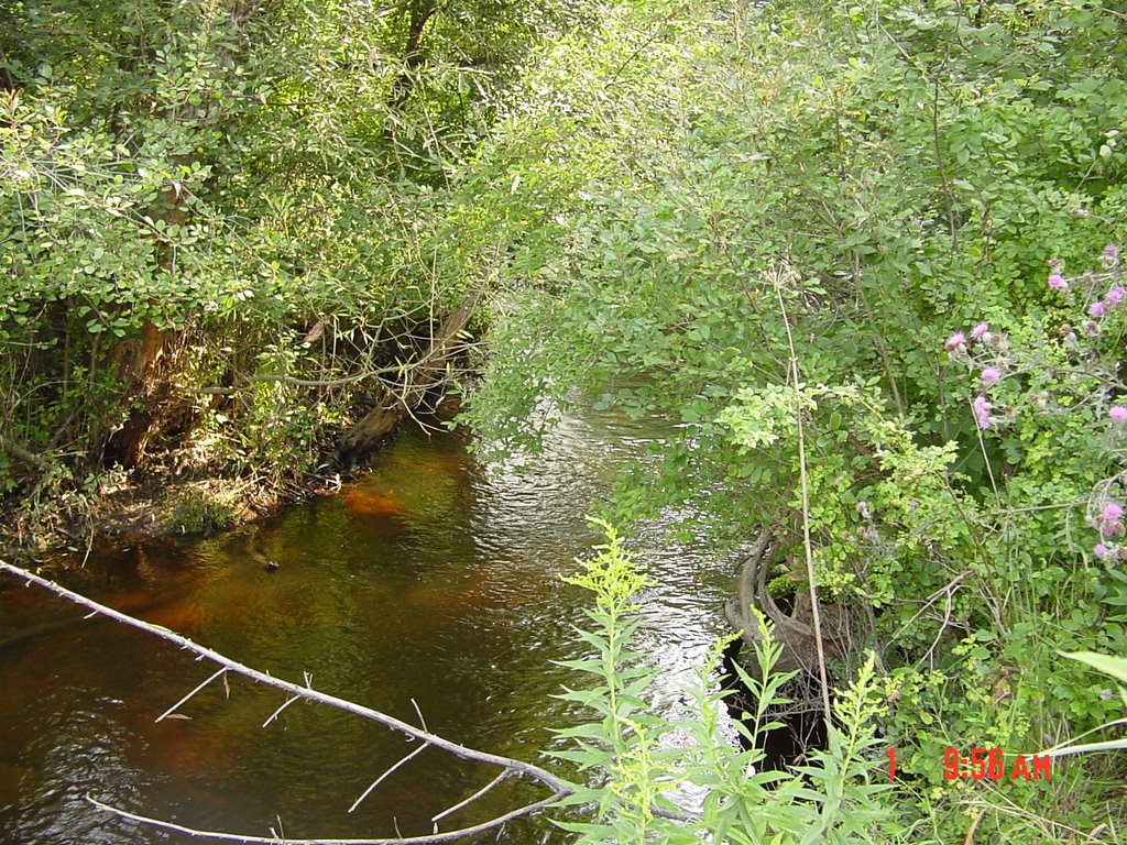 Water by the hills (Agua en los cerros - leau dans les collines)