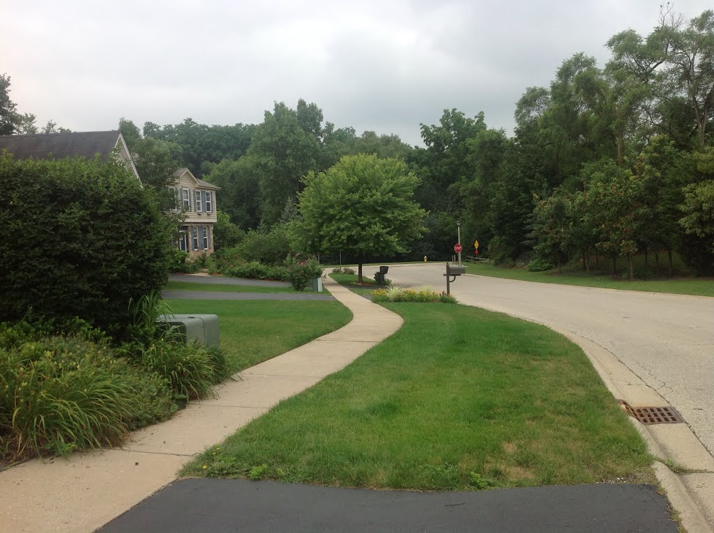 Barberry Trail