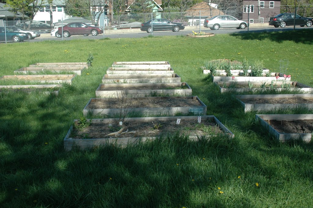 Forest Park, IL - Forest Park Community Garden