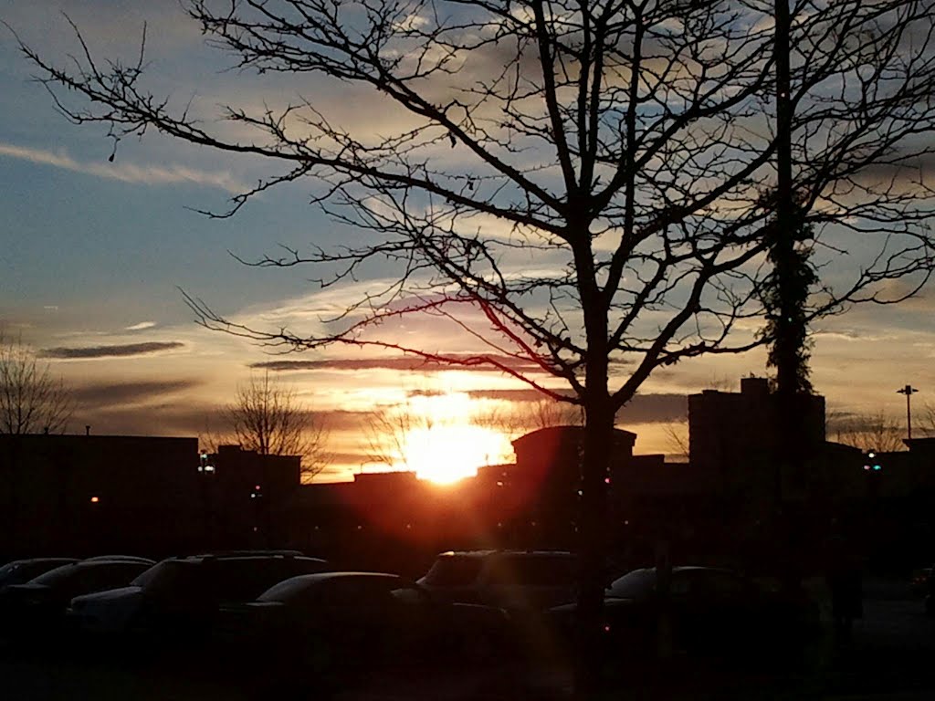 Sunrise in the Midwest