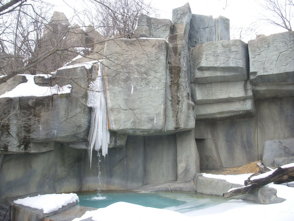 Winter on bear zone ( El invierno en la zona del oso -lhiver dans le domaine de lours