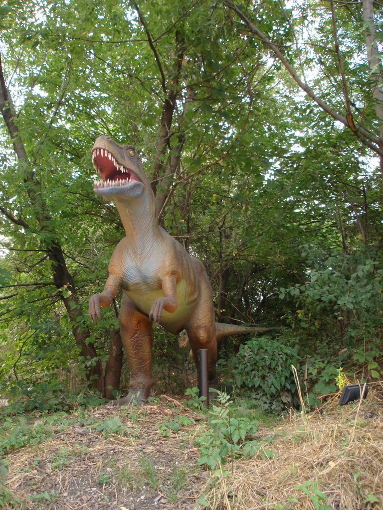 T rex