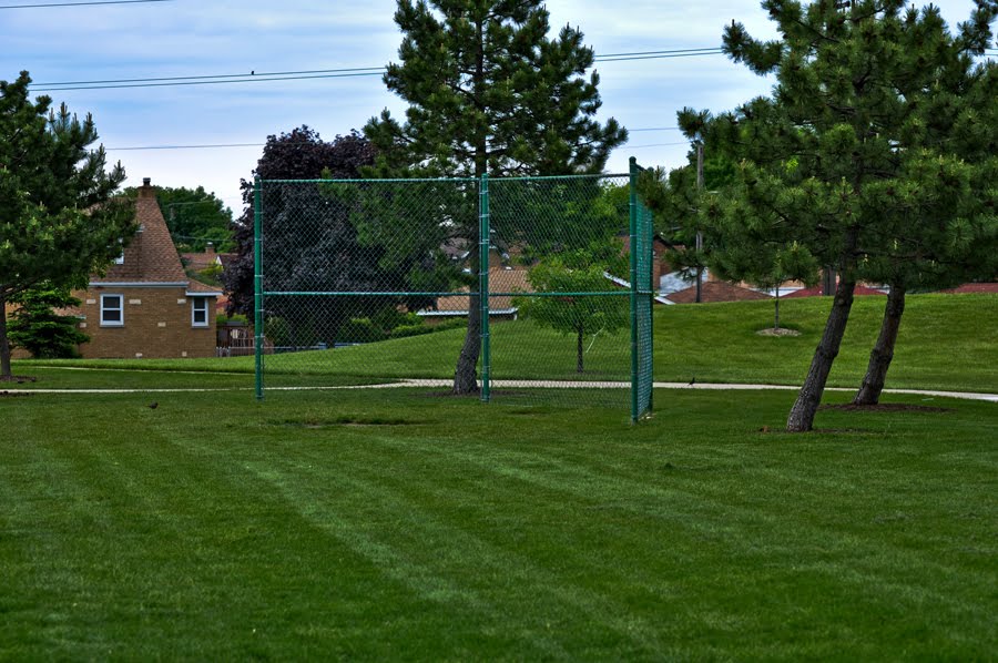 Commons Park- Baseball Diamond