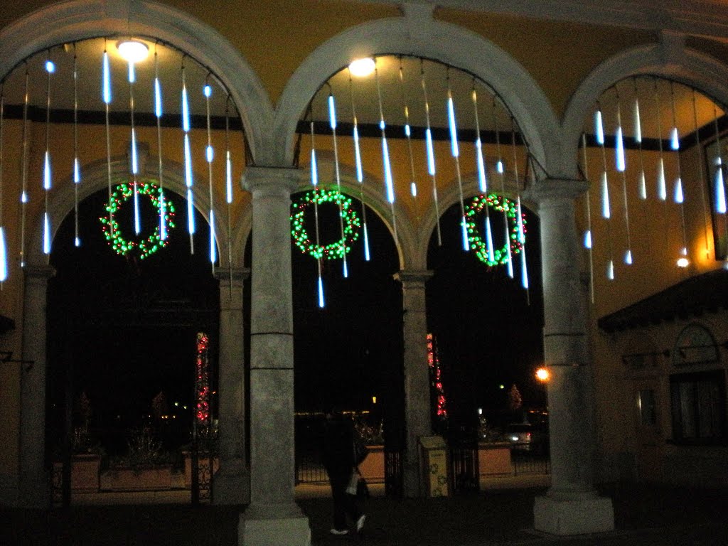 Xmas decor of Brookfield Zoo South Gate