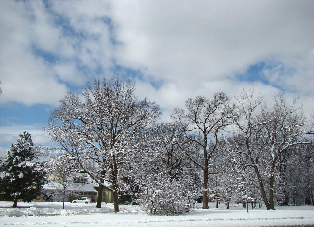 DSC02762n Winter  Scene -  2/26/08 W view