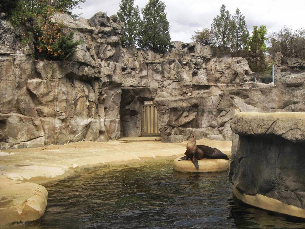 Brookfield Zoo Pinniped Point, GLCT