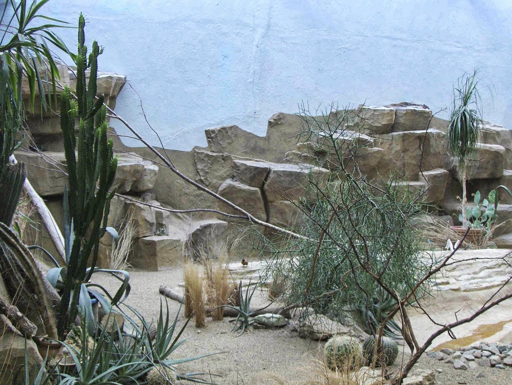 Brookfield Zoo Feathers and Scales, GLCT