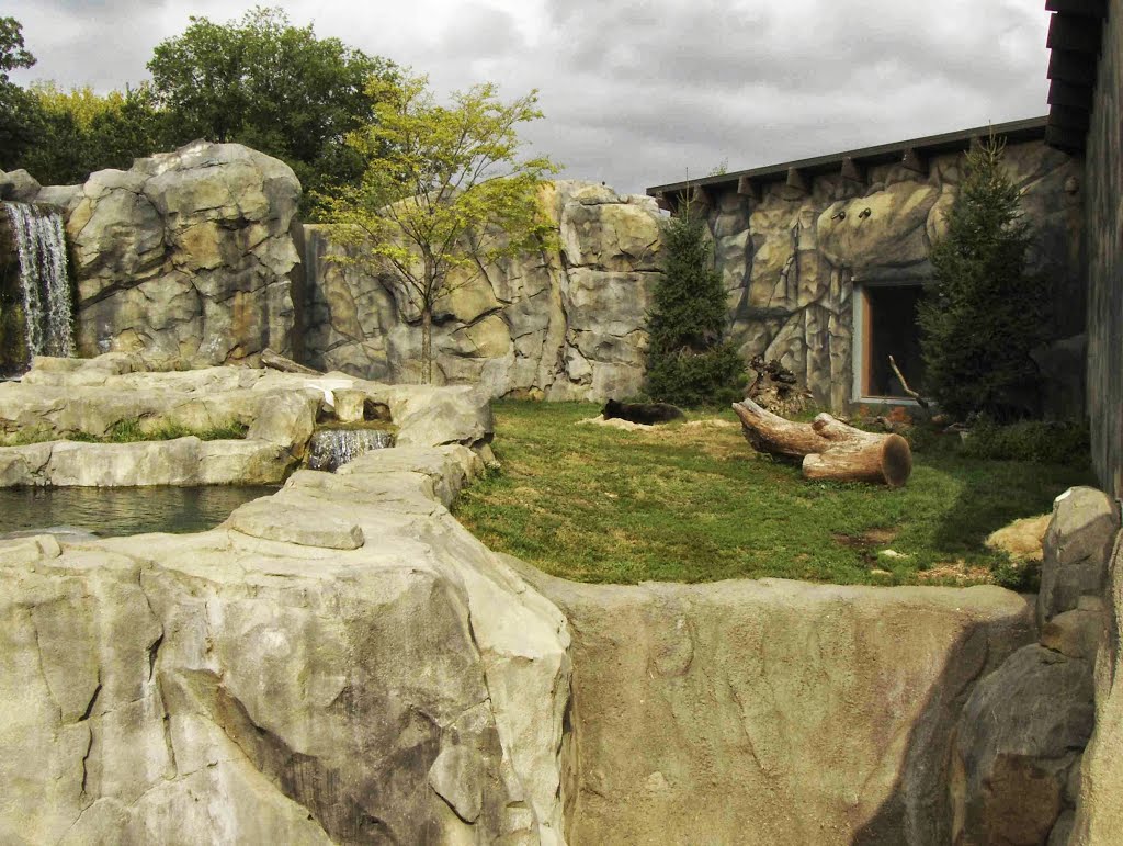 Brookfield Zoo Great Bear Wilderness, GLCT