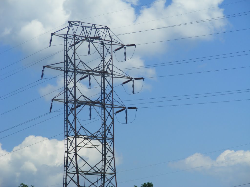 Springfield Power Lines