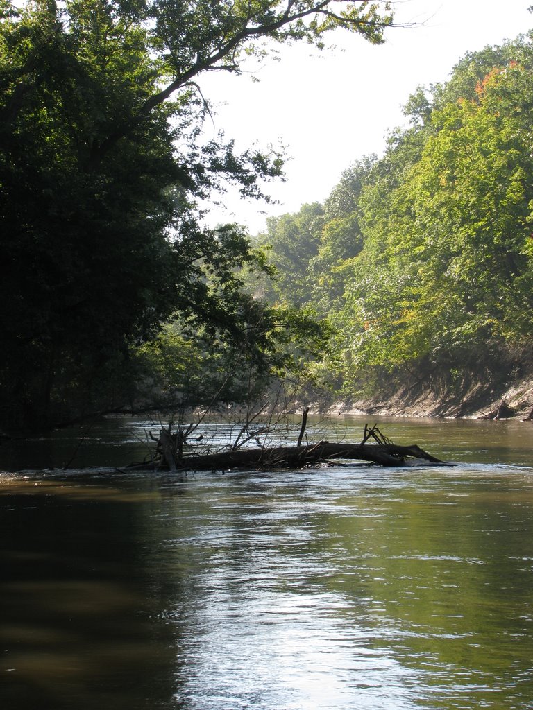 Sangamon River