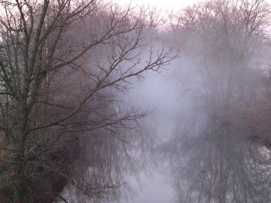 Foggy river