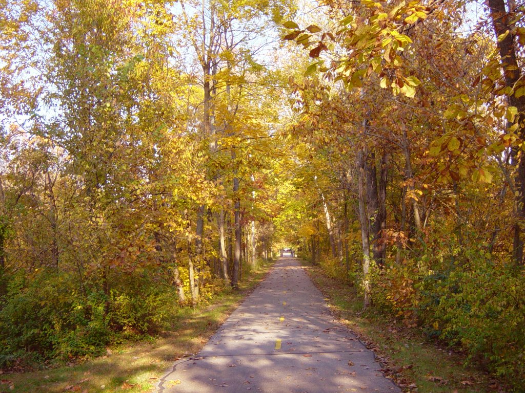 Fall colors on the MCT Nature trail