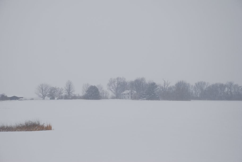Home on the range. Snow storm January 20th, 2011