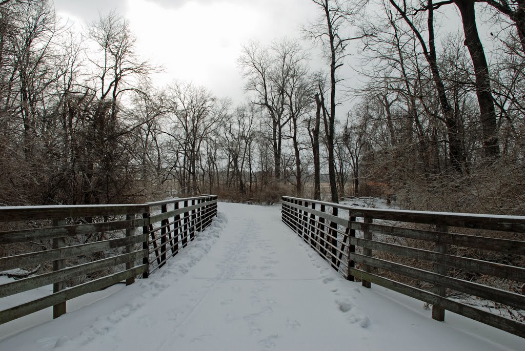 Where the Delight Morris ends and the Bluff trail begins.