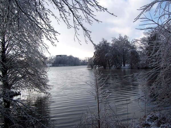 Cougar Lake after an ice storm