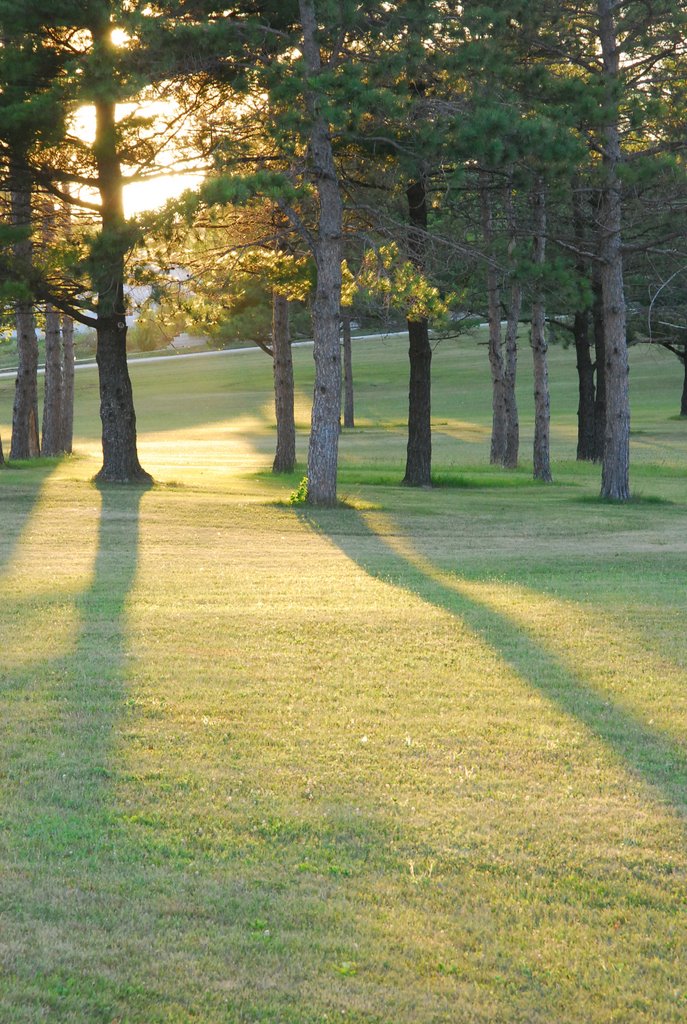 Alpine Park, Rockford,Il.