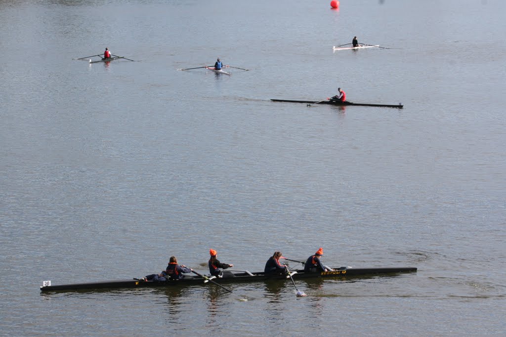 Head of the Rock Regatta 2009