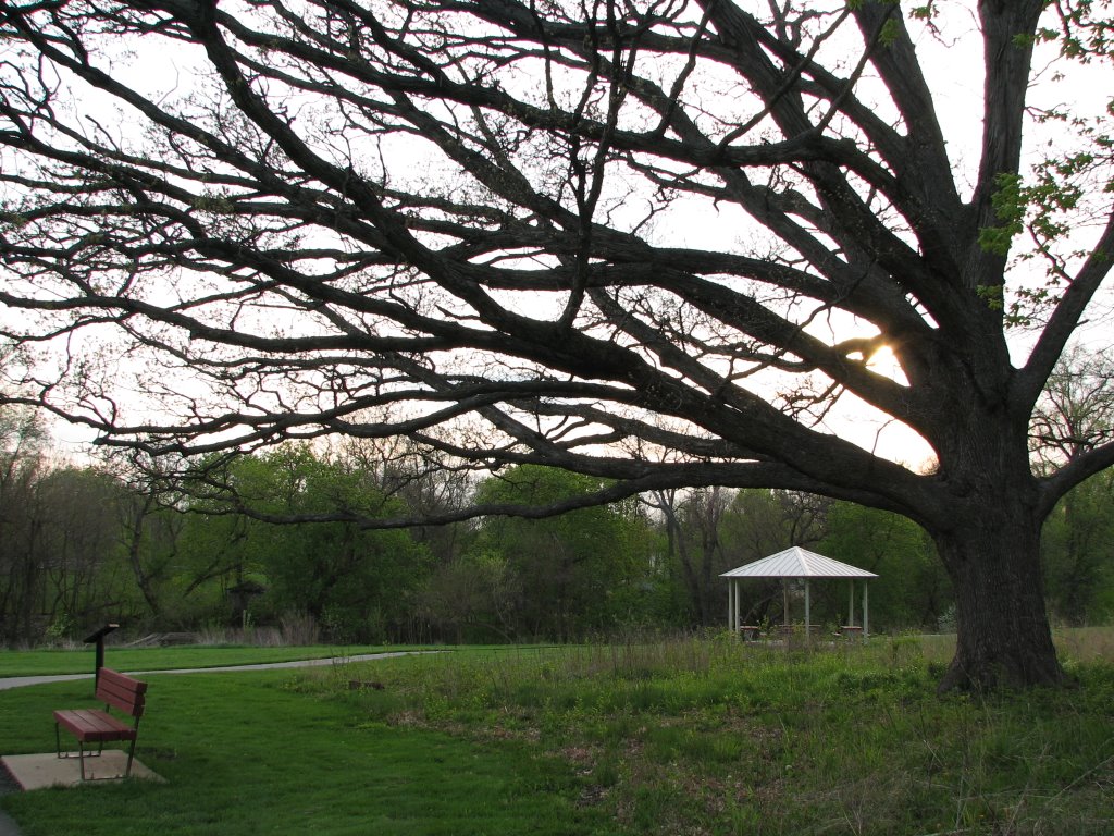 Delnor Woods Park