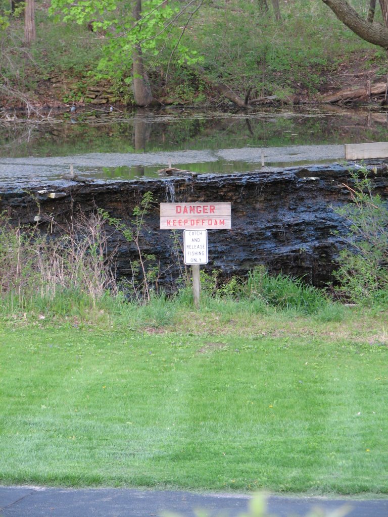 Delnor Woods Park in St. Charles