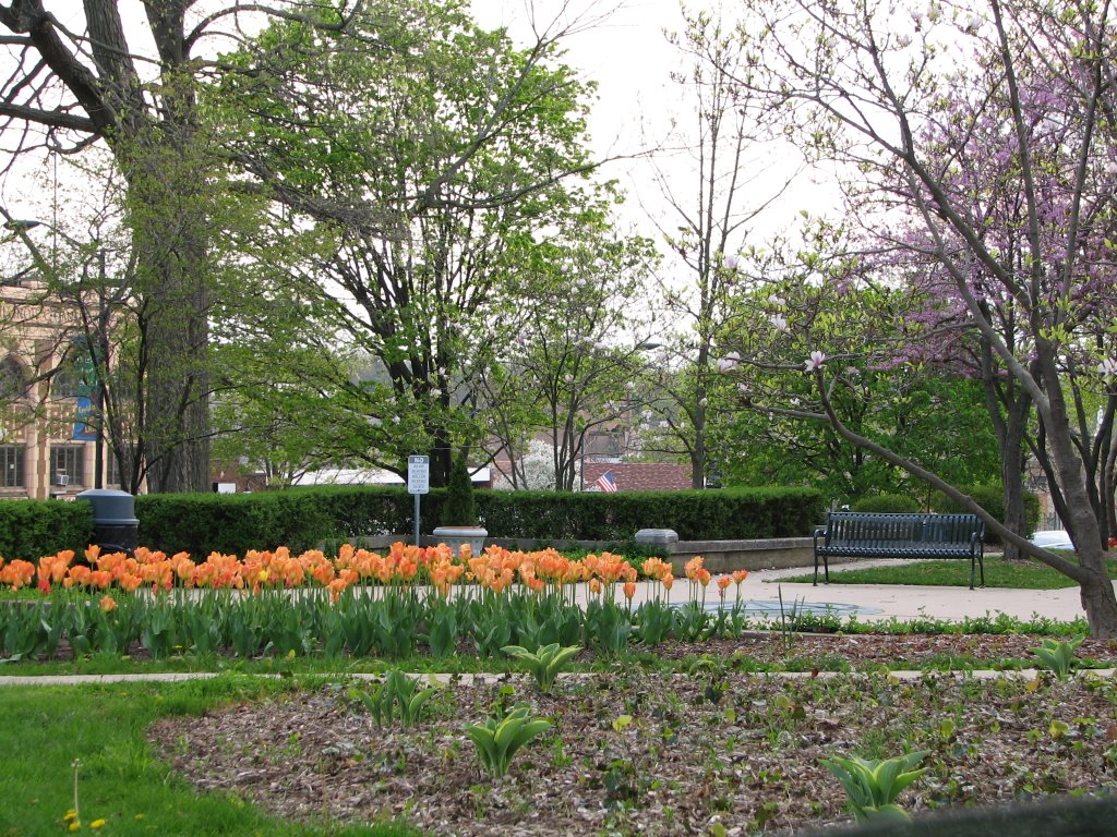 Baker Park in downtown St. Charles