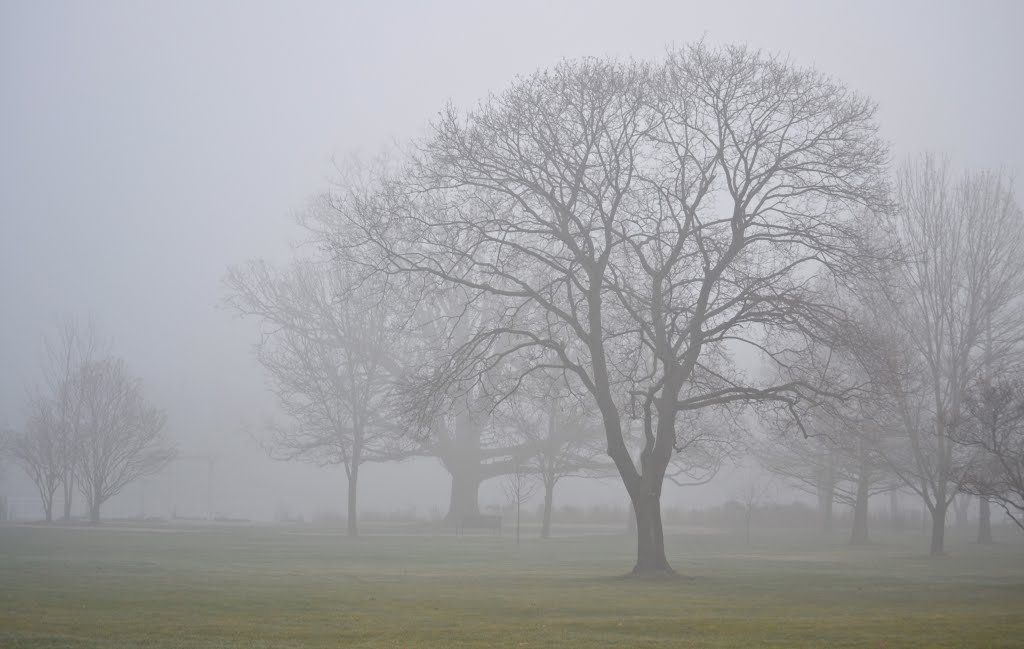 St. Charles Fog