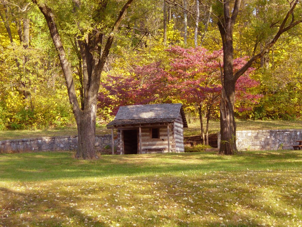 Log Cabin